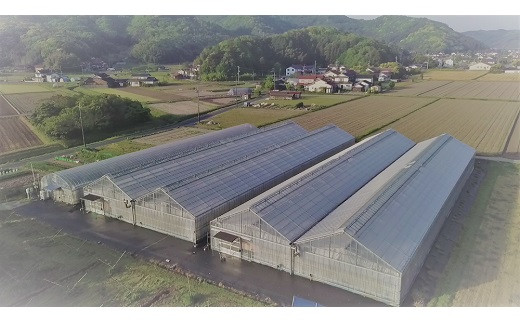 超トマトを贅沢に絞った「超トマトジュース」　1本