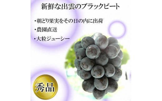 縲2026蟷エ8譛井クュ譌ャ莉・髯咲匱騾√措霎イ螳カ逶エ騾‐蜴ウ驕ク繝悶Λ繝繧ッ繝薙シ繝2kg邂アシ3ス5謌ソシ閏謖∫伐霎イ蝨綻