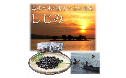 宍道湖産冷凍しじみ