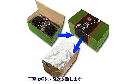 神西湖しじみ100ｇ×10Pセット（常温）