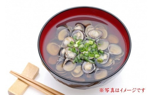 å®éæ¹æŒåž«ã®å€§çLãµã€ãº1.5kg倧åããã¿ïŒããçžå¹²æ¯ç®žä»ïŒ