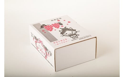 【2026年6月以降発送】いずもぶどうデラウェア 約1.5kg 7-8房 美味しい 先行予約 フルーツ 果物