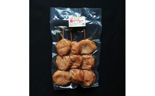 出雲の天ぷら三昧セット