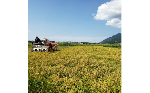 åºé²ã®ææ©JASèªèšŒãçœç±³çé
250ïœÃ6æ¬