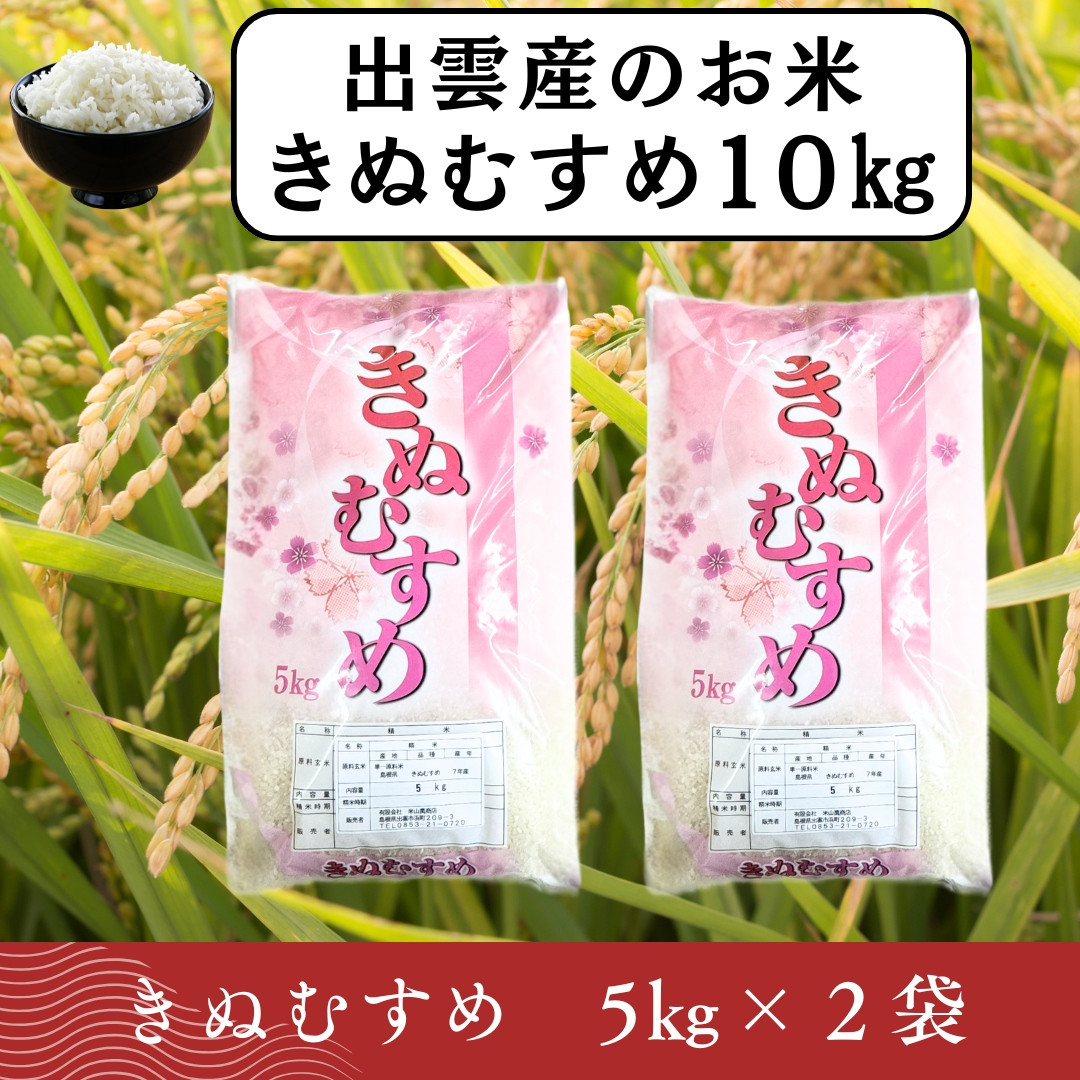【ふるさと納税】お米　令和7年産　出雲きぬむすめ5kg×2袋