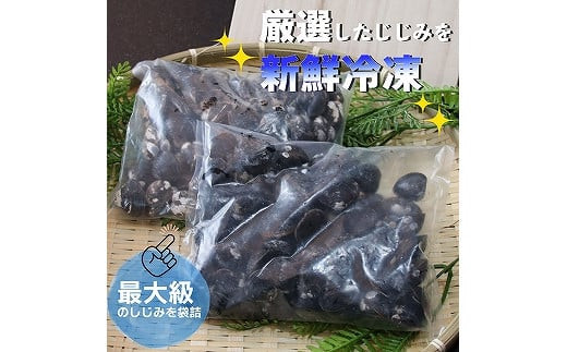 厳選特大しじみ詰め合わせ