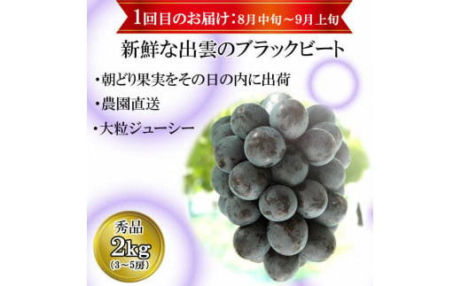 【2026年8月中旬以降発送】【2回定期便】【農家直送】厳選シャインマスカットとブラックビートの定期便