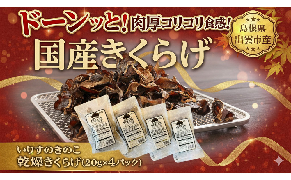 いりすのきのこ　乾燥きくらげ（20g×4パック）
