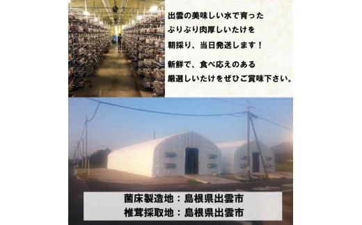 譛晄治繧頑眠魄ョシ∝蜴壹>縺励>縺溘¢縲繝√ン縺励>縺溘¢繧サ繝繝