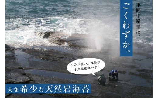 【希少】天然岩のり　十六島海苔（うっぷるいのり）