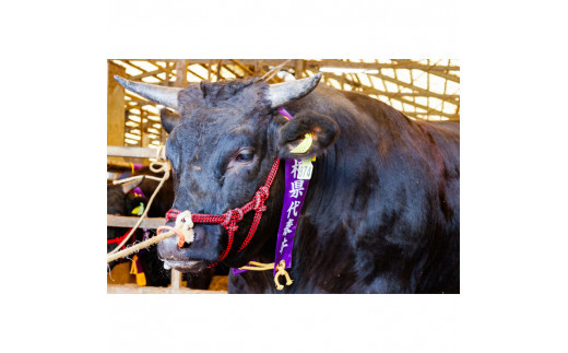 阯、蠅 縺励∪縺ュ蜥檎央繝「繝「 繧ケ繝ゥ繧、繧ケ 700g縲仙キ蜃阪