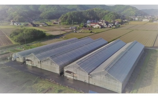蜃コ髮イ縺ョ蝨九°繧峨ョ雍医j迚ゥス槭ヨ繝槭ヨ繧定カ縺医◆雜繝医槭ヨシ徒g