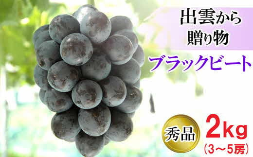 【2026年8月中旬以降発送】[農家直送]厳選ブラックビート2kg箱（3～5房）[持田農園]