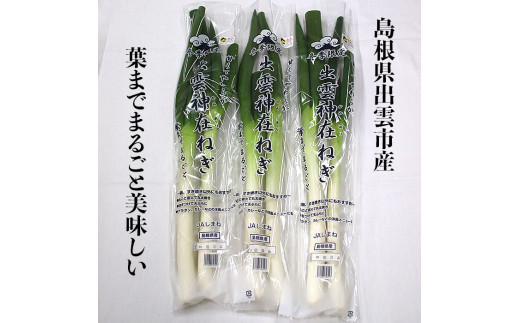 出雲神在（かみあり）ねぎ