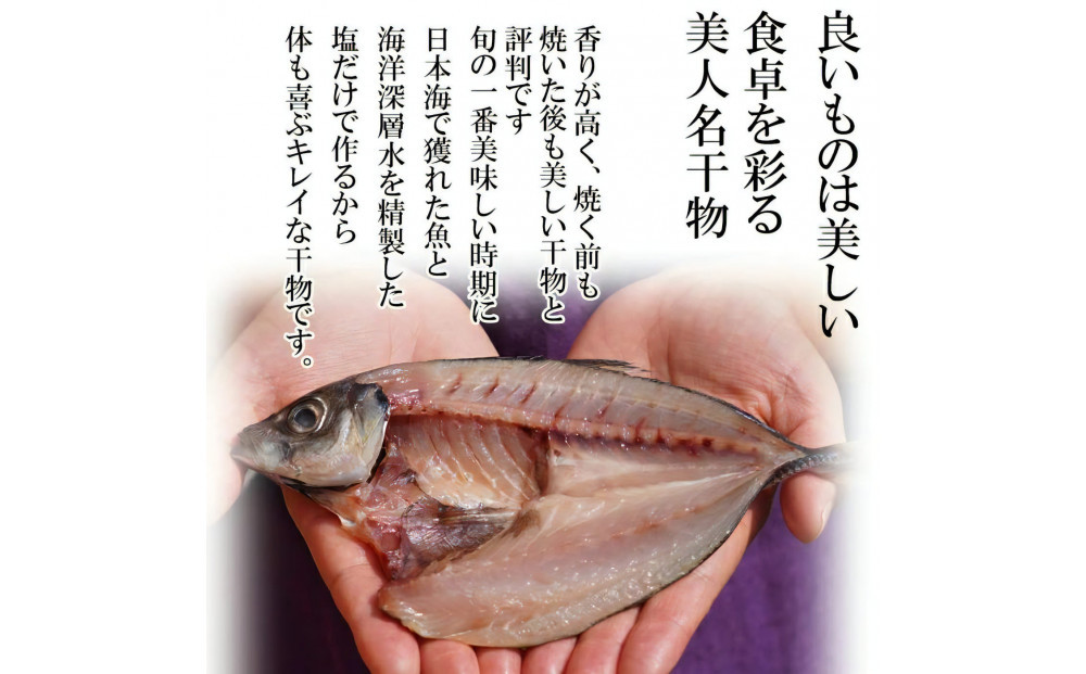 訳アリ：旬の美人干物 たっぷりおまかせセット5種類