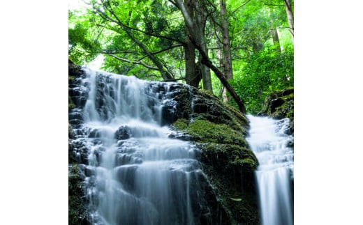 【定期便3回】出雲ノ高濃度水素水 末広セットを毎月お届け！