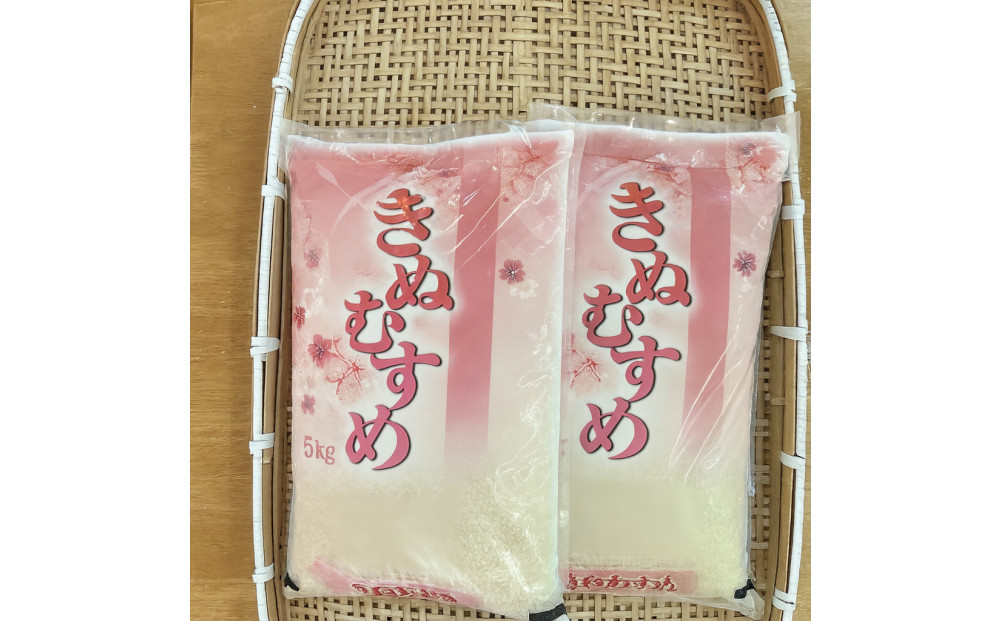 【ふるさと納税】お米　令和7年産　出雲きぬむすめ5kg×2袋