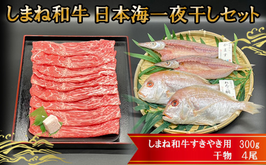 しまね和牛肉・日本海一夜干しセット