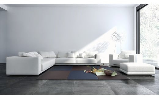 ã»ãã¹ã€ç³ããïŒïŒ©ïŒ§ïŒµïŒ³ïŒ¡ããããã¢ç³ïŒæã»ãã