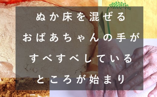 ぬかっち生活 オールインワンゲル 150g 　2個セット【1_8-014】