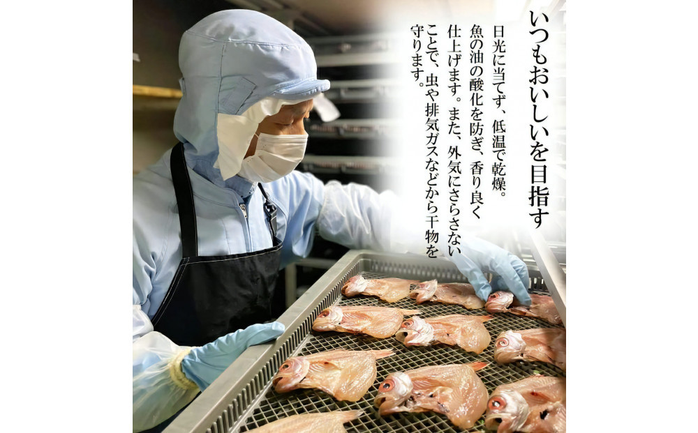 訳アリ：旬の美人干物 たっぷりおまかせセット5種類