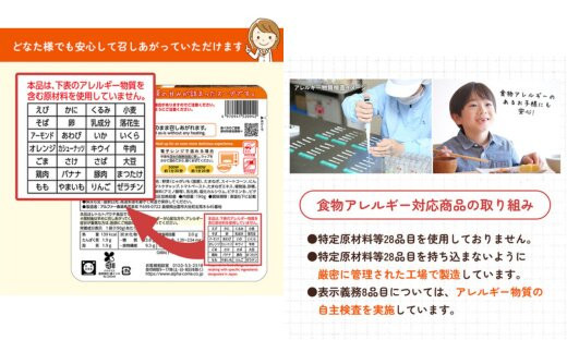 【からだを想う野菜スープ】ミネストローネ10食セット/レトルト/食物アレルギー対応/長期保存/防災食