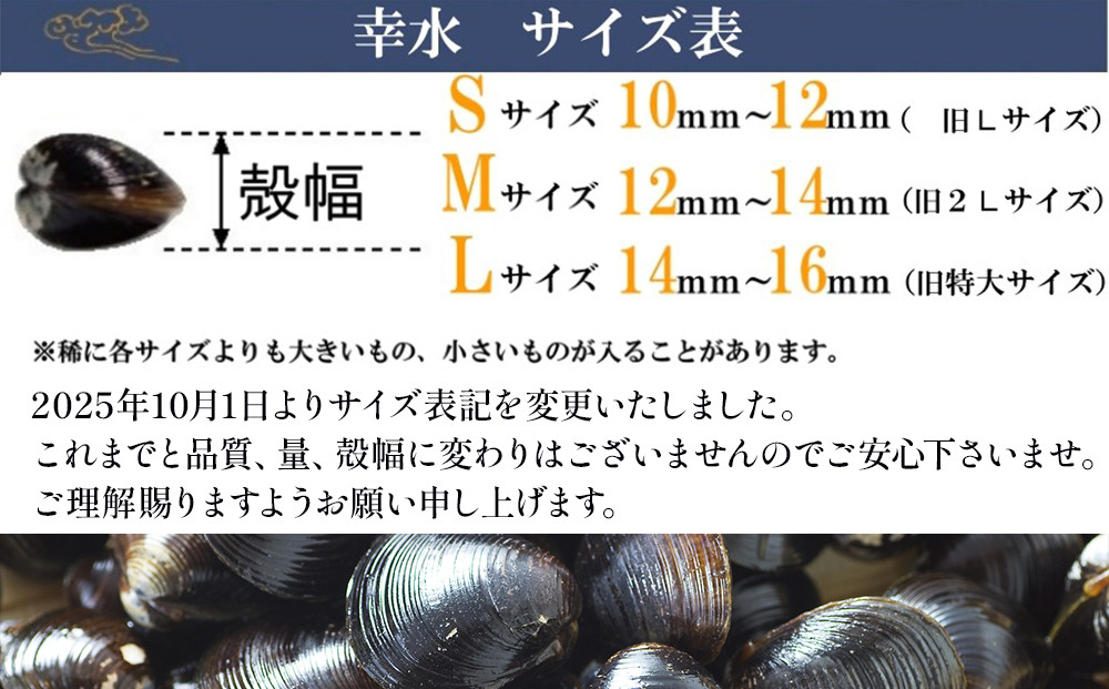 螳埼%貉也肇蜀キ蜃阪@縺倥∩L繧オ繧、繧コシ域ョサ蟷14mmス16mmシ200ステ10陲