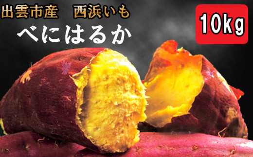 西浜いも（べにはるか）10kg（5kg×2）