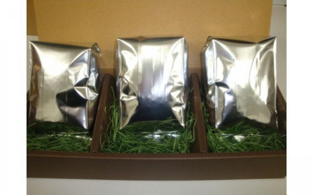 【挽き方：粗挽き】お家でカフェ♪アメリカンスペシャリティ認定豆170ｇ×3袋