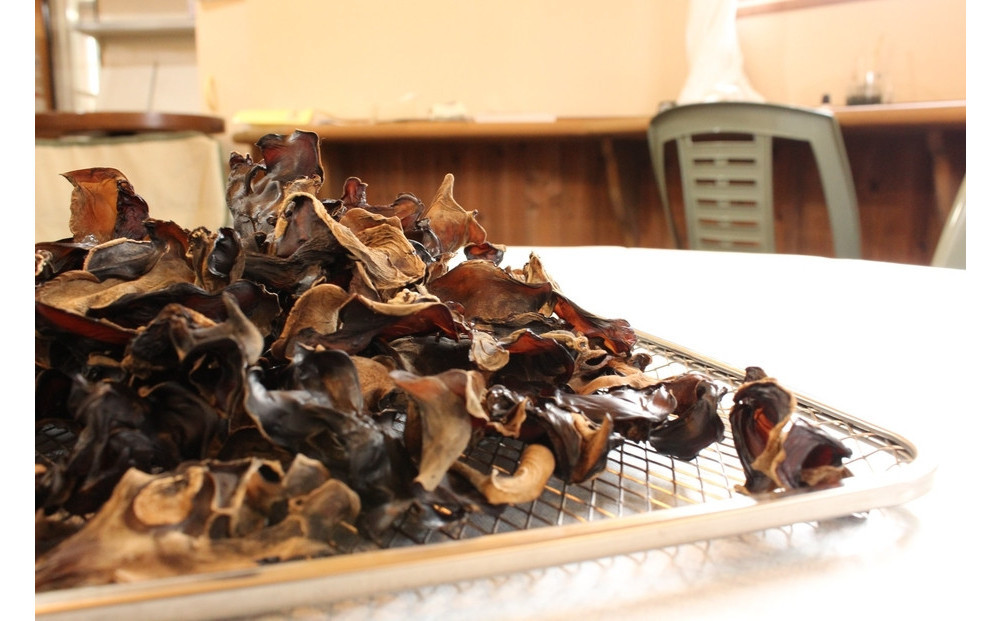 いりすのきのこ　乾燥きくらげ（20g×4パック）