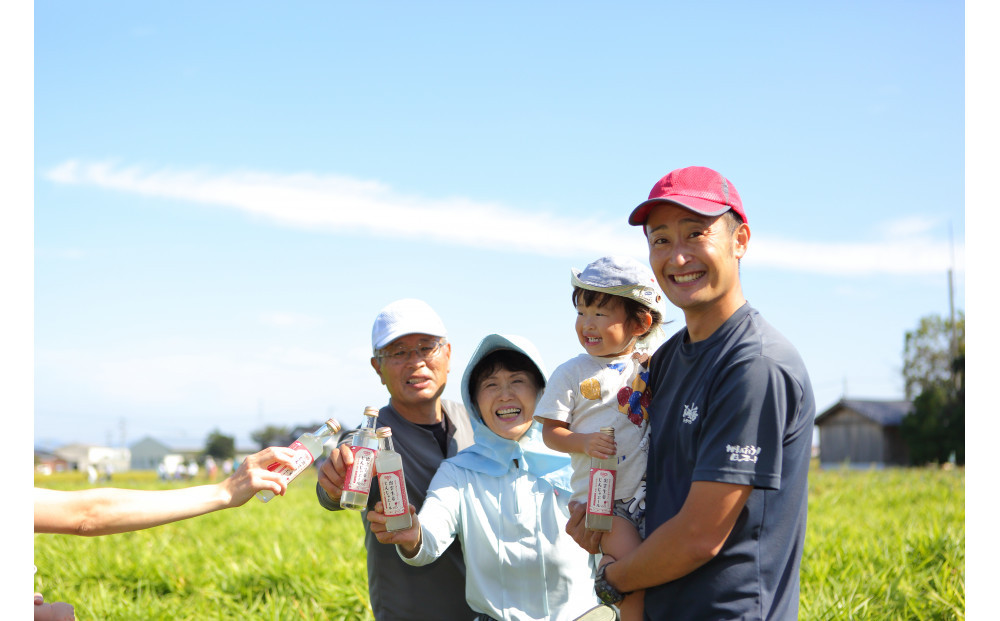 出雲生姜じんじゃエール１０本セット