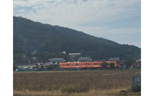 島根で採れる産品を使用しただししょうゆセット