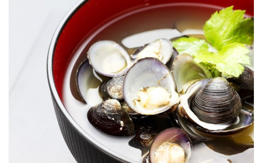 【３回定期便】ぷっくり大きな身！食べて美味しい！神西湖産大和しじみ