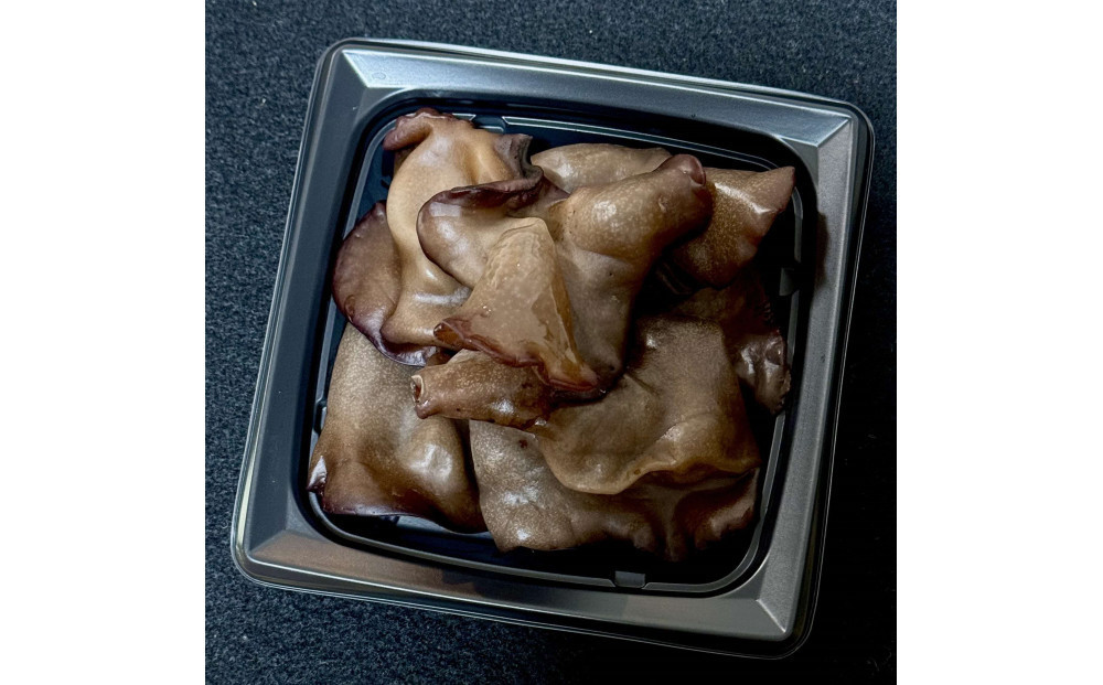 いりすのきのこ 生きくらげ（70g×4パック）