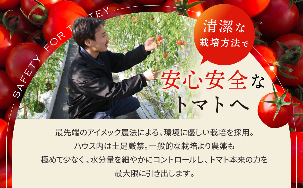 出雲の國からの贈り物～トマトを超えた超トマト２kg