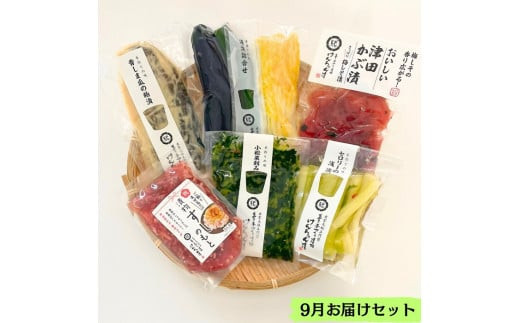 【3か月定期便】出雲漬物 季節の詰合せセット（7～9月）