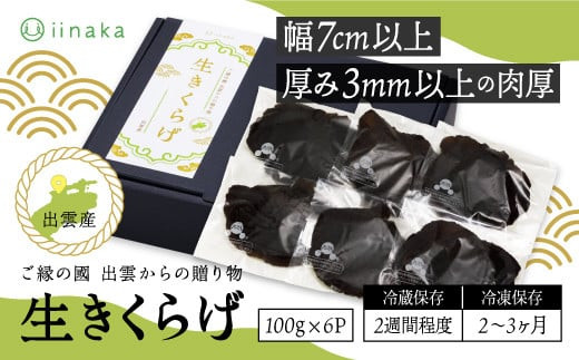 蜃コ髮イ蟶ら肇逕溘″縺上i縺