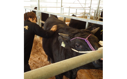 藤増 しまね和牛ロース スライス 900ｇ【冷凍】