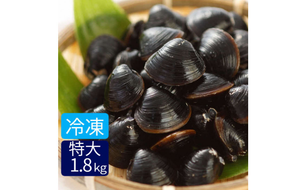 たっぷりエキスの特大しじみ！島根県宍道湖産大和しじみ砂抜き済み