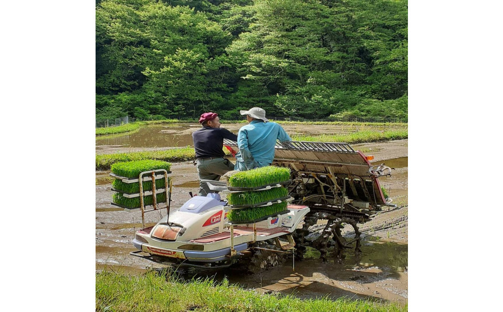【令和7年産】有機肥料米ナオちゃんのお米【出雲市産きぬむすめ】4kg（1kg×4袋）美味しい お米 精米 贈答 有機栽培 出雲市産