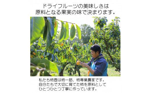 【柿専業の農家が作る】出雲産甘柿のドライフルーツ