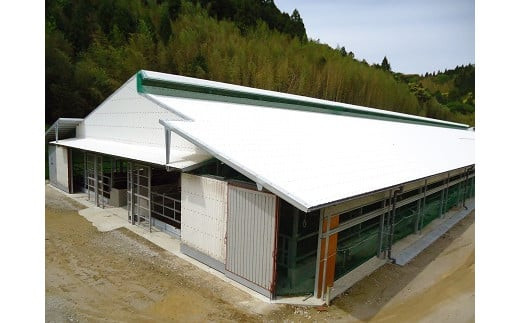 藤増 しまね和牛モモ切落し 750ｇ【冷凍】