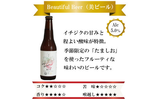 クラフトビール6種詰め合わせセット