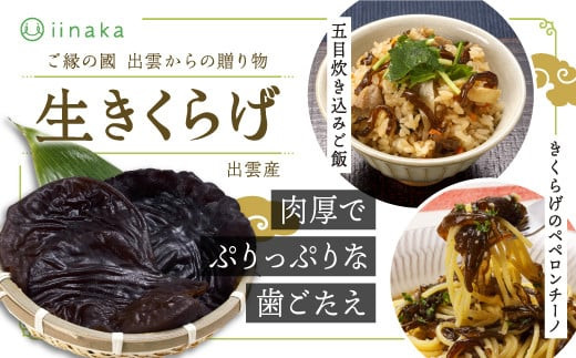 蜃コ髮イ蟶ら肇逕溘″縺上i縺