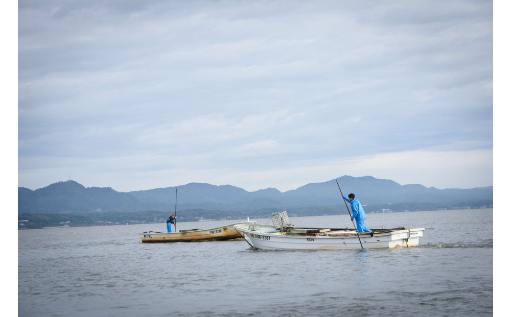 たっぷりエキスの特大しじみ！島根県宍道湖産大和しじみ砂抜き済み