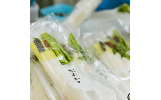 【2026年4月～9月お届け】季節限定　春夏おすすめ漬物７品セット