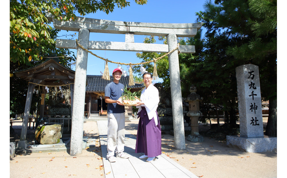 出雲生姜ぽかぽかセット