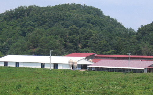 阯、蠅 縺励∪縺ュ蜥檎央蟆城俣蛻繧 1200ス縲仙キ蜃阪