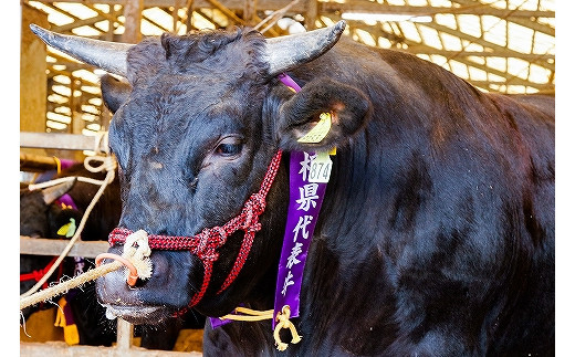 阯、蠅 縺励∪縺ュ蜥檎央蟆城俣蛻繧 600ス縲仙キ蜃阪