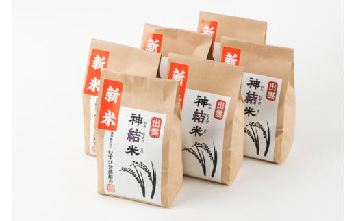 【令和7年産】出雲神結米 (つや姫) 1kg×6袋